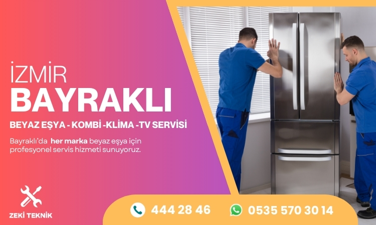 Bayraklı AEG Servisi